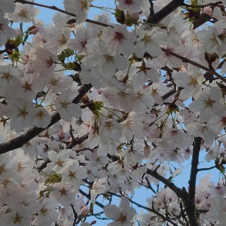 리효~♥님의 프로필 이미지