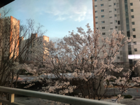 유저 프로필 사진