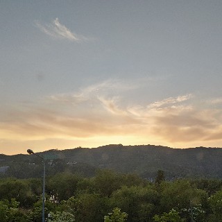 유저 프로필 사진
