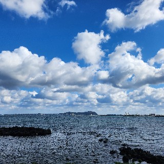 유저 프로필 사진