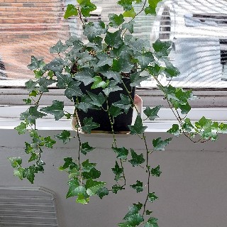 유저 프로필 사진