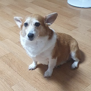 희#JbC6님의 프로필 이미지