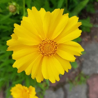 유저 프로필 사진