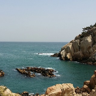 유저 프로필 사진