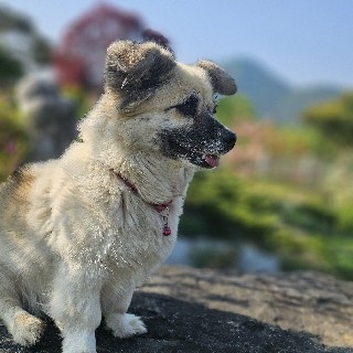 아리#saUQ님의 프로필 이미지