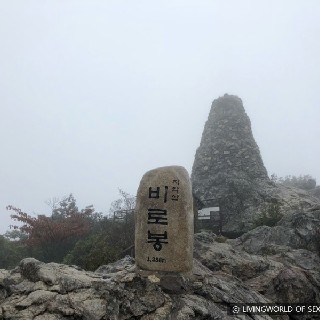 유저 프로필 사진