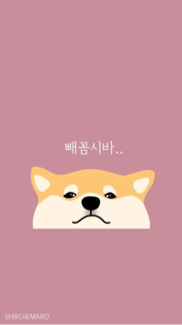 퐝폐용ㅇㅇ