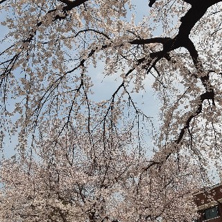 유저 프로필 사진