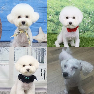 유저 프로필 사진