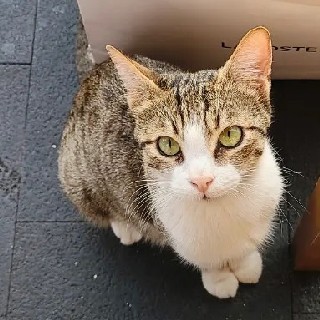 프로필 이미지