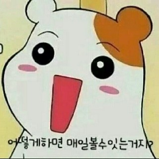 유저 프로필 사진