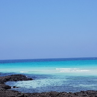 유저 프로필 사진