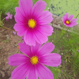프로필 이미지