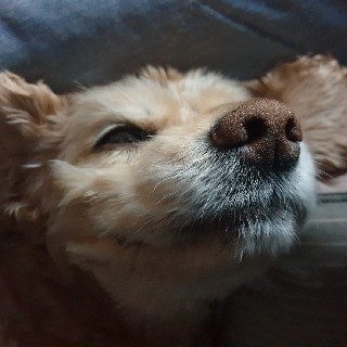 김성숙#B7HP님의 프로필 이미지