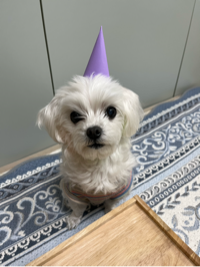 박지아#Wx4a님의 프로필 이미지