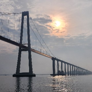 유저 프로필 사진