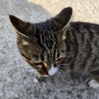 예민한뽀냥언니님의 프로필 이미지