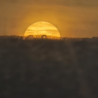 guam gago sipo님의 프로필 이미지