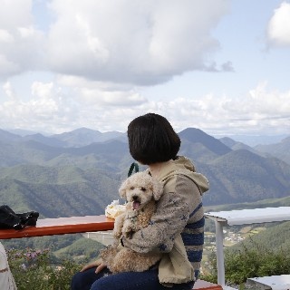 유저 프로필 사진