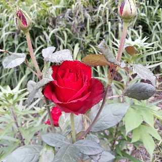 유저 프로필 사진