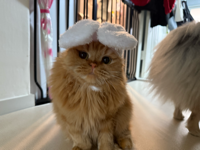 Mmrr님의 프로필 이미지