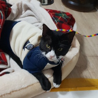 프로필 이미지