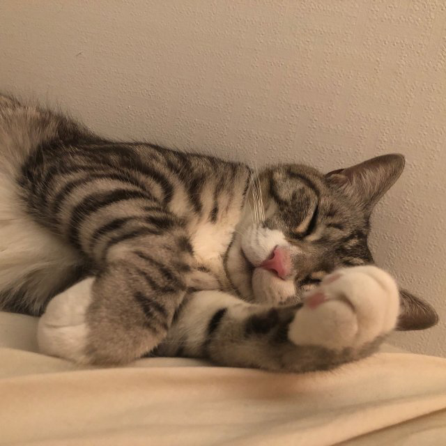 박지혜#ZDEc님의 프로필 이미지