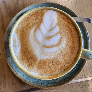 금비냥