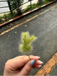 유저 프로필 사진