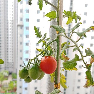 프로필 이미지