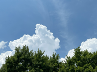 이예림#V4PR님의 프로필 이미지