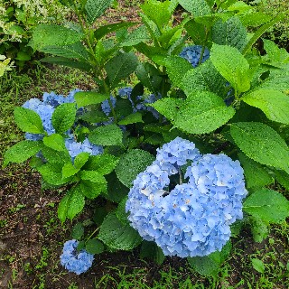 유저 프로필 사진