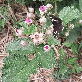 김애란#2xnF님의 프로필 이미지