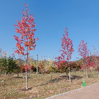 유저 프로필 사진