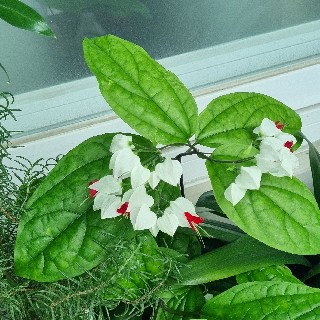 프로필 이미지