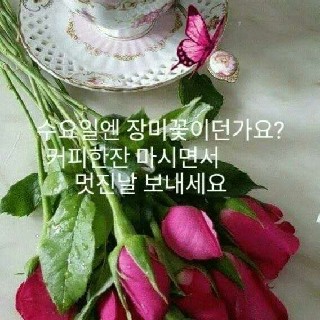 유저 프로필 사진