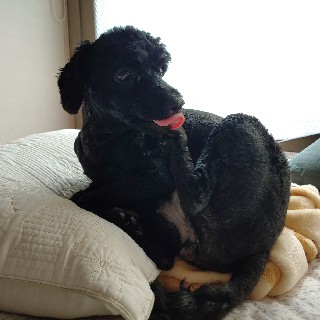 프로필 이미지