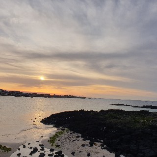 유저 프로필 사진