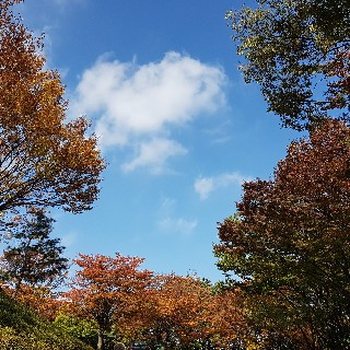 유저 프로필 사진