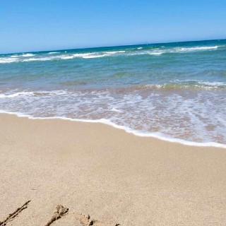 유저 프로필 사진