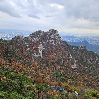 유저 프로필 사진