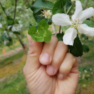 프로필 이미지