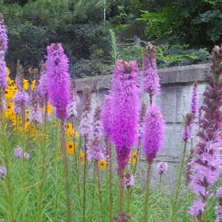 유저 프로필 사진
