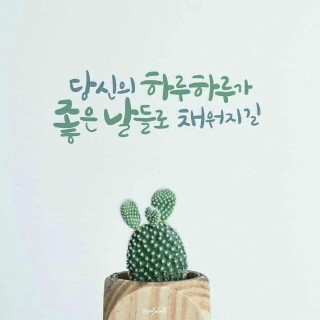 유저 프로필 사진