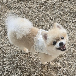 유쾌한 라임..:♡: