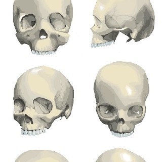 카멜레온#BFze님의 프로필 이미지