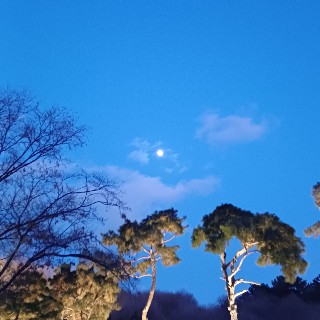 유저 프로필 사진