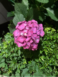 수남매맘^^님의 프로필 이미지