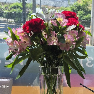 유저 프로필 사진