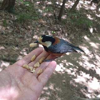 유저 프로필 사진